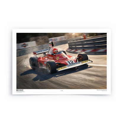 Limited Edition | 312T Niki